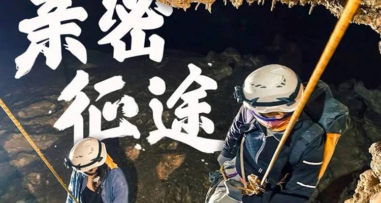 亲密征途 | 荔波酷玩森林